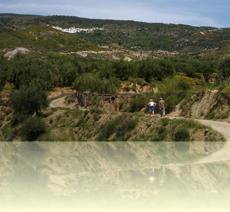 Tracking in Las Alpujarras