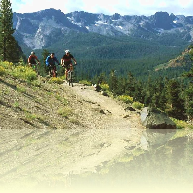 Biking in nature