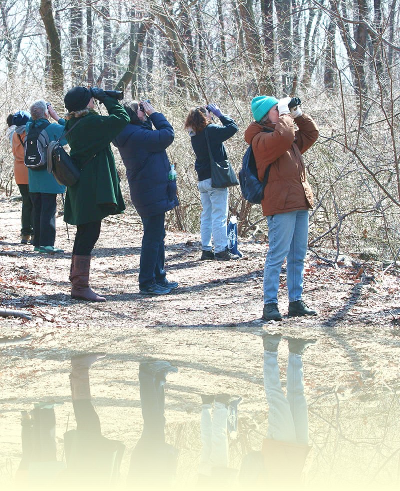 Birdwatching and enjoying wildlife while walking the mountain paths of the Sierra Nevada