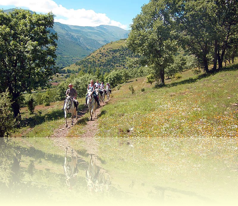 Horse riding in the Sierra Nevada mountains