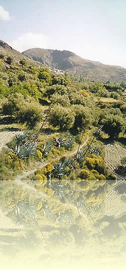 En centro de valle Las Alpujarras